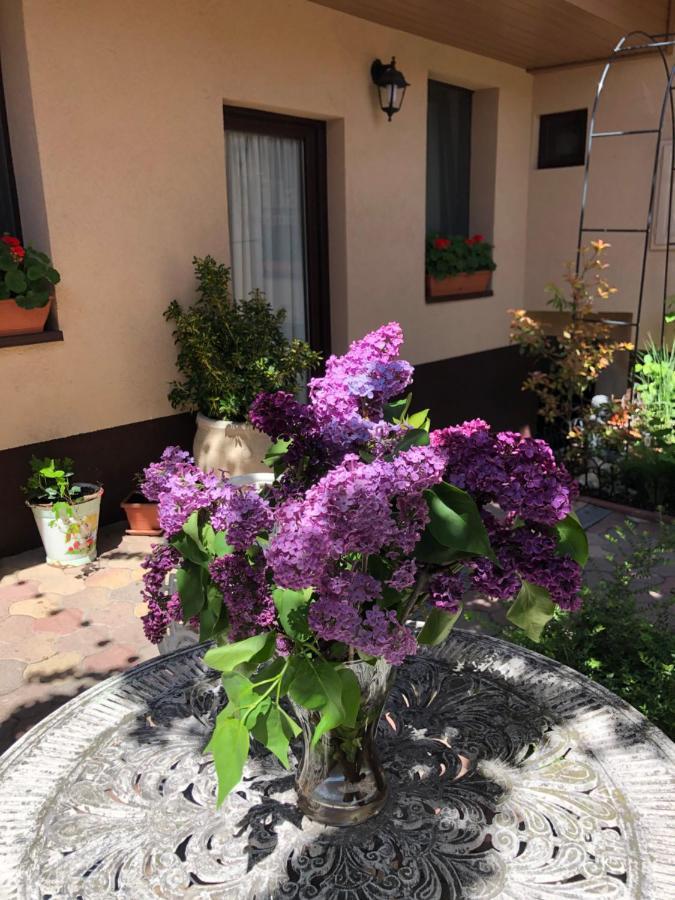 Milla Apartman Szentendre Exterior foto