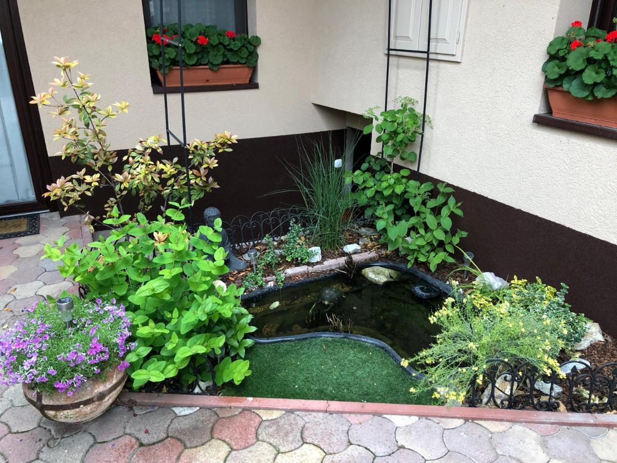 Milla Apartman Szentendre Exterior foto